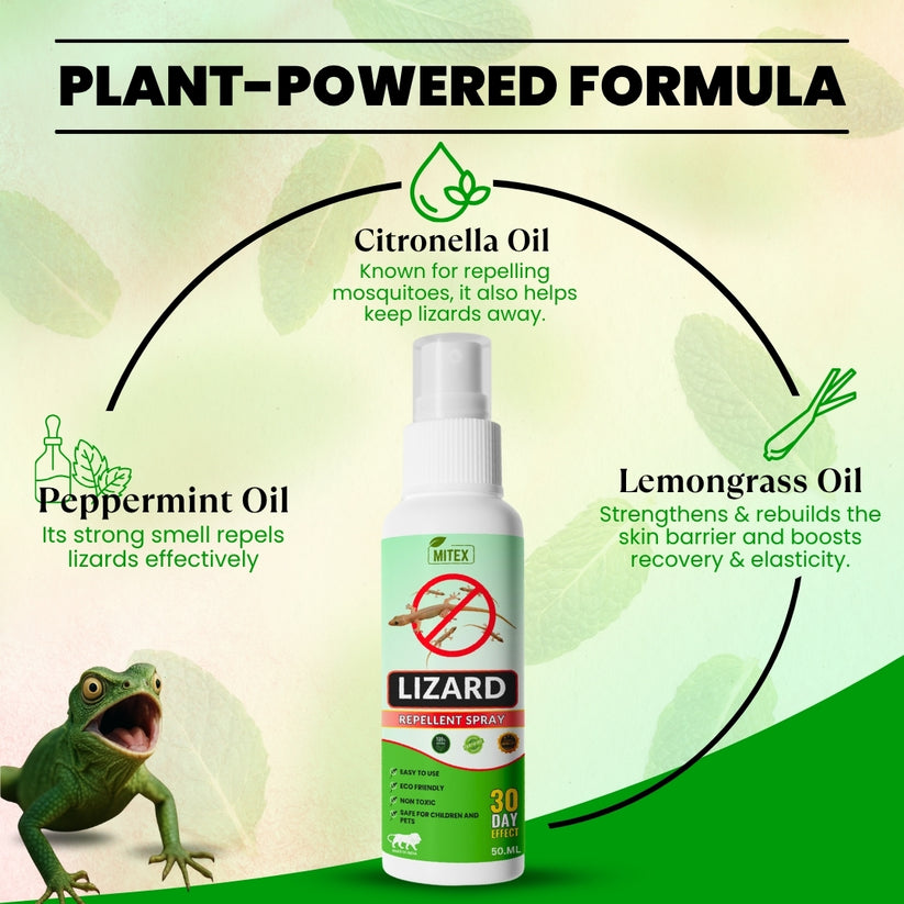 LIZARDGAURD™ - LIZARD REPELLENT SPRAY (BUY 1 GET 2 FREE)(PACK OF 3)