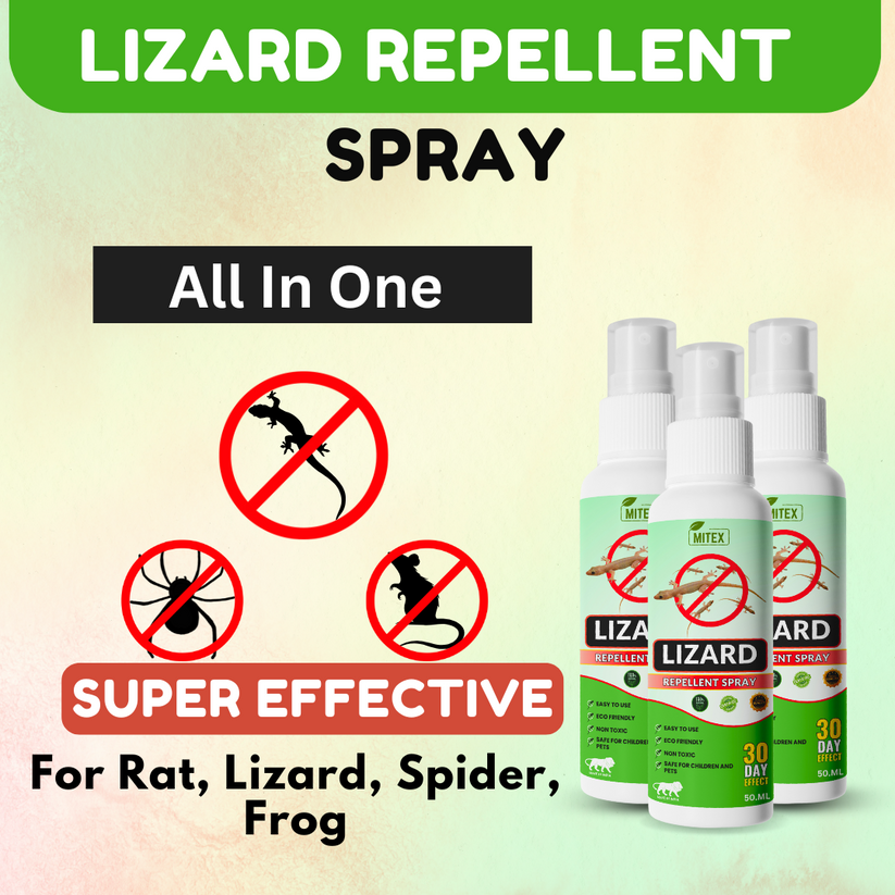 LIZARDGAURD™ - LIZARD REPELLENT SPRAY (BUY 1 GET 2 FREE)(PACK OF 3)