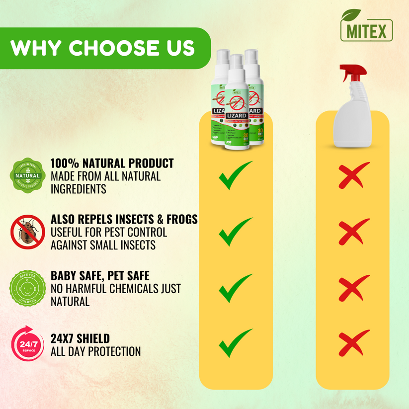 LIZARDGAURD™ - LIZARD REPELLENT SPRAY (BUY 1 GET 2 FREE)(PACK OF 3)