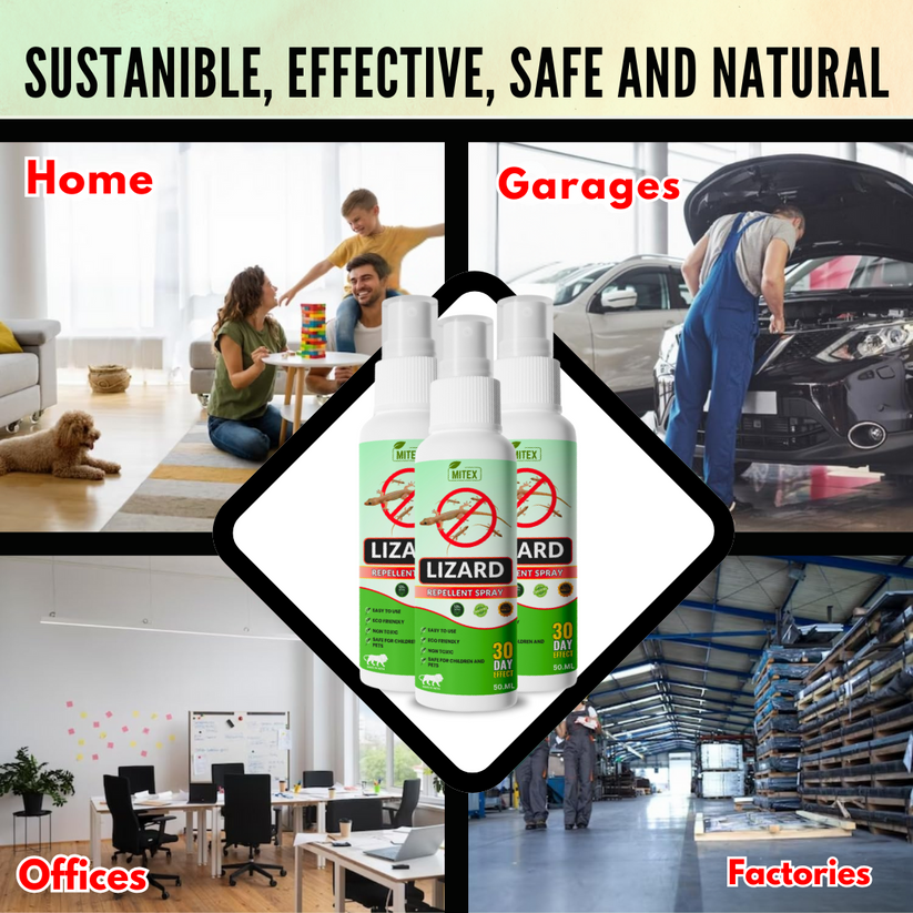 LIZARDGAURD™ - LIZARD REPELLENT SPRAY (BUY 1 GET 2 FREE)(PACK OF 3)